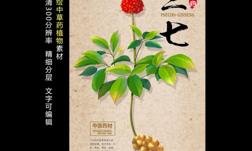 中药白花菜子图片网 - 网站提供白花菜子的中药名字叫什么小常识、中药的白花菜子的功效与作用