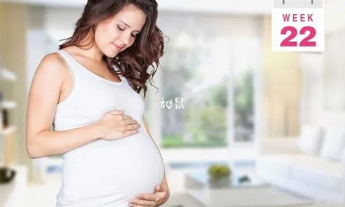 中药白花菜子图片网 - 网站提供白花菜子的中药名字叫什么小常识、中药的白花菜子的功效与作用